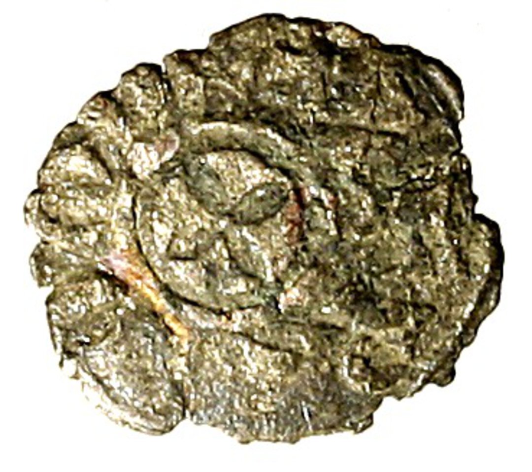 Dritto moneta