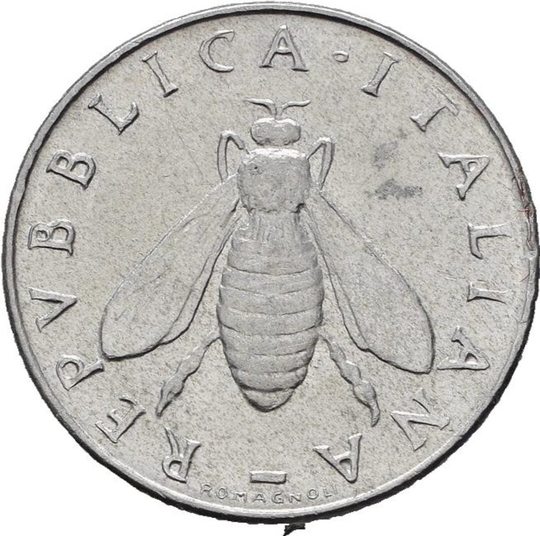 Dritto moneta