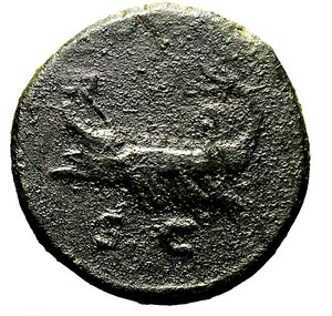 Reverse image
