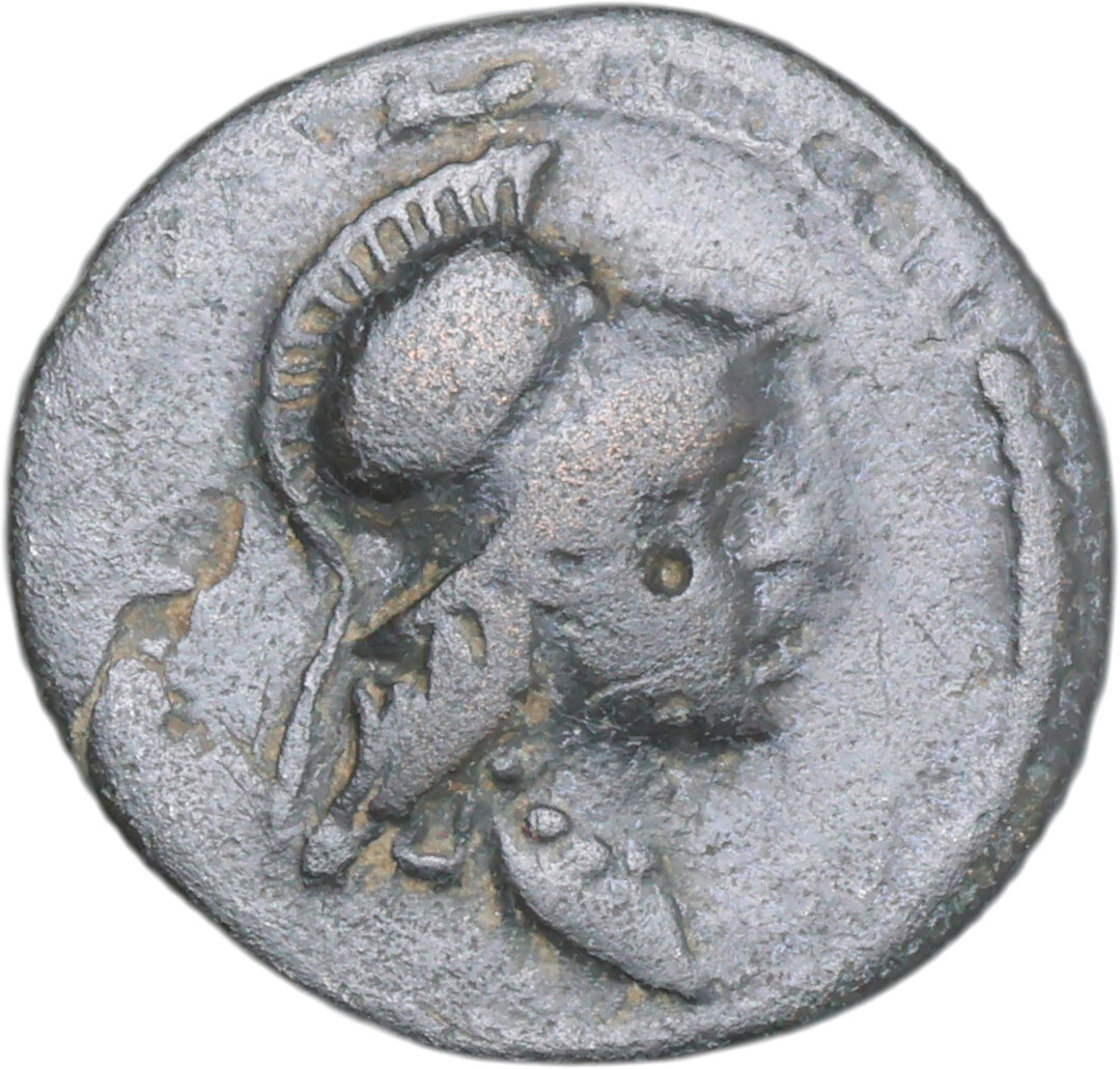 Dritto moneta