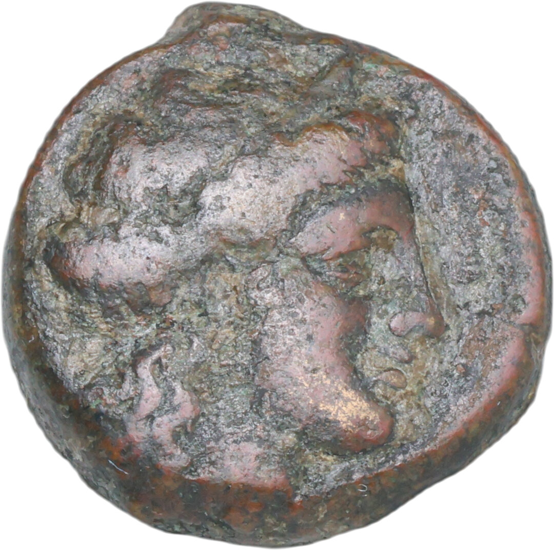 Dritto moneta