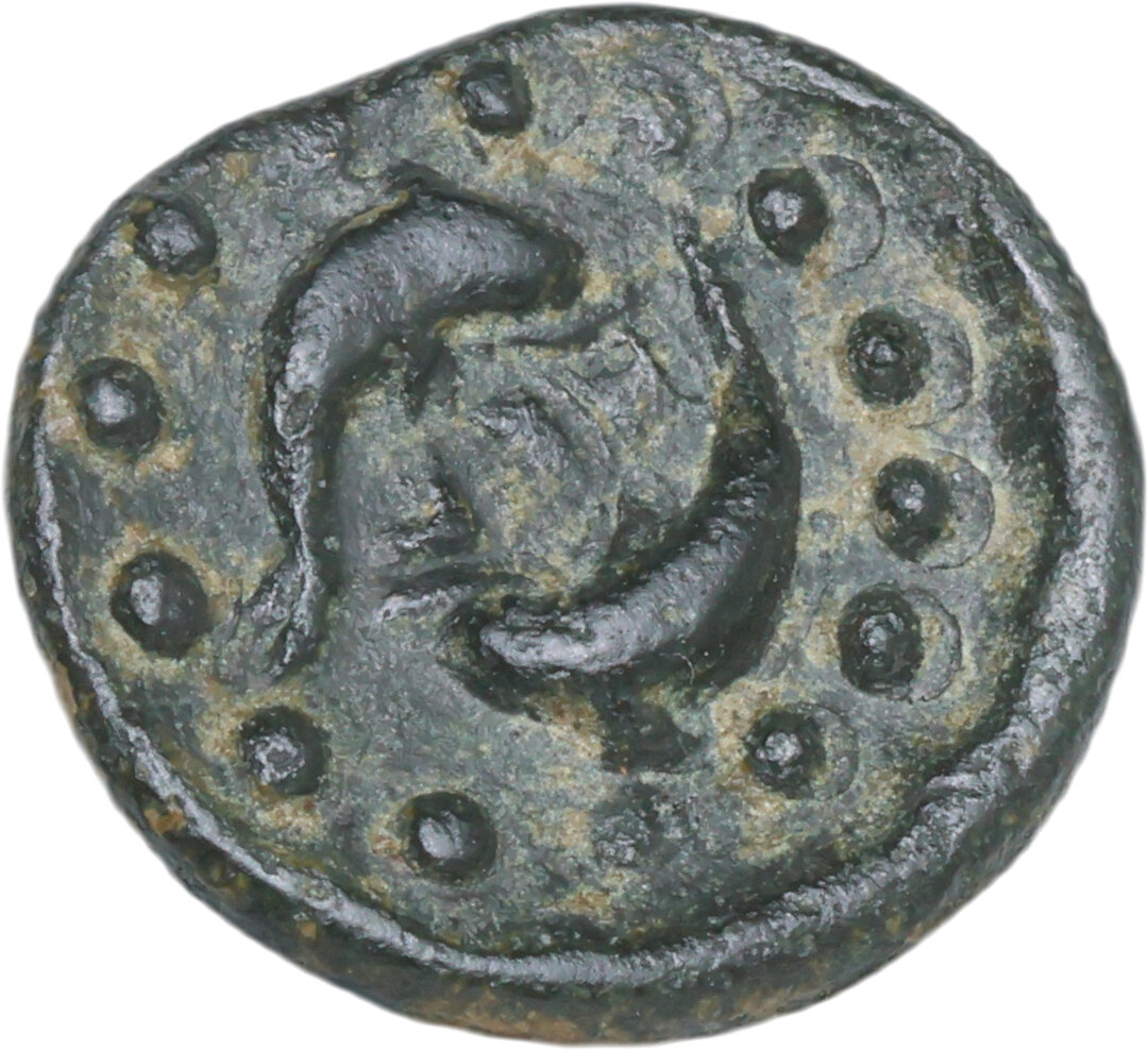 Rovescio moneta