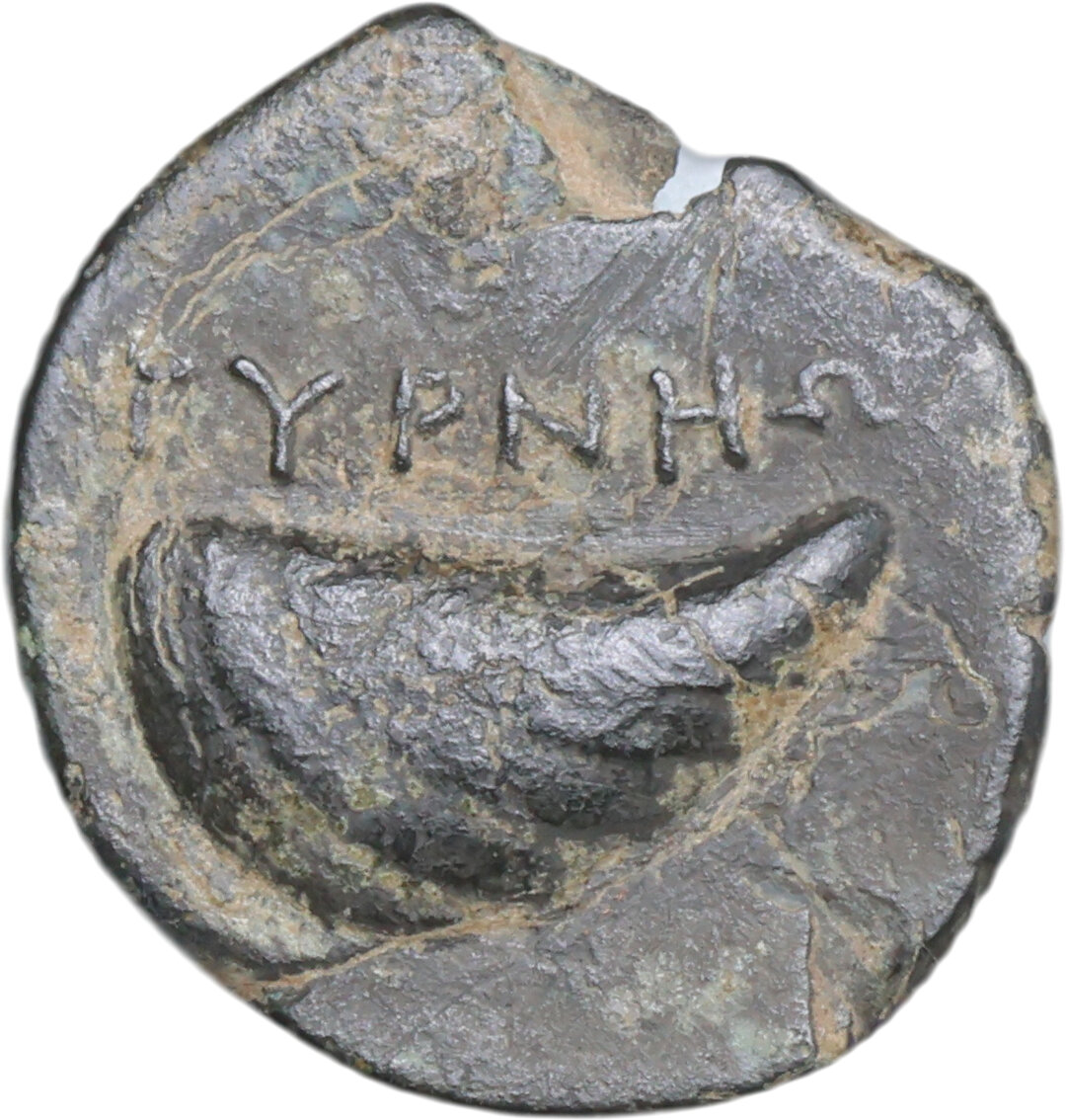 Rovescio moneta