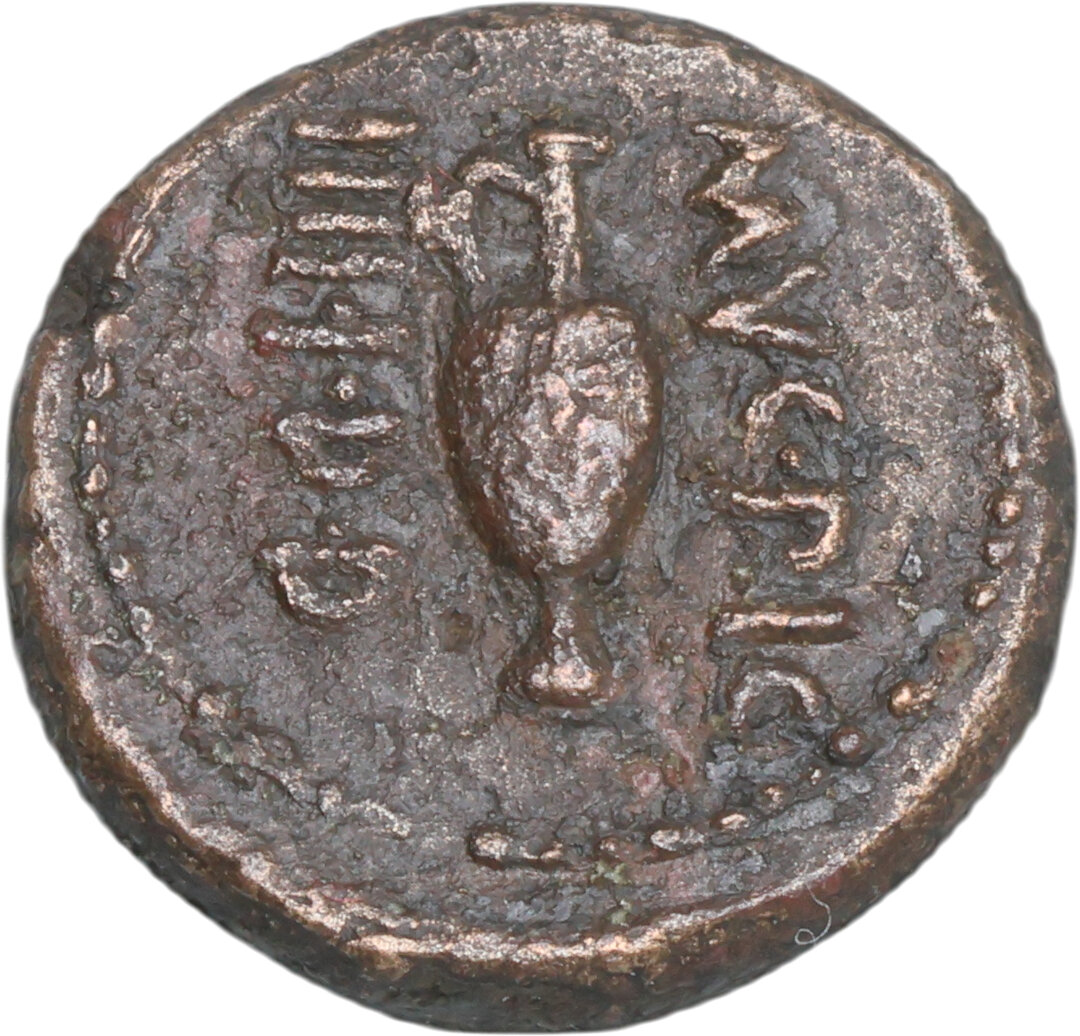 Rovescio moneta