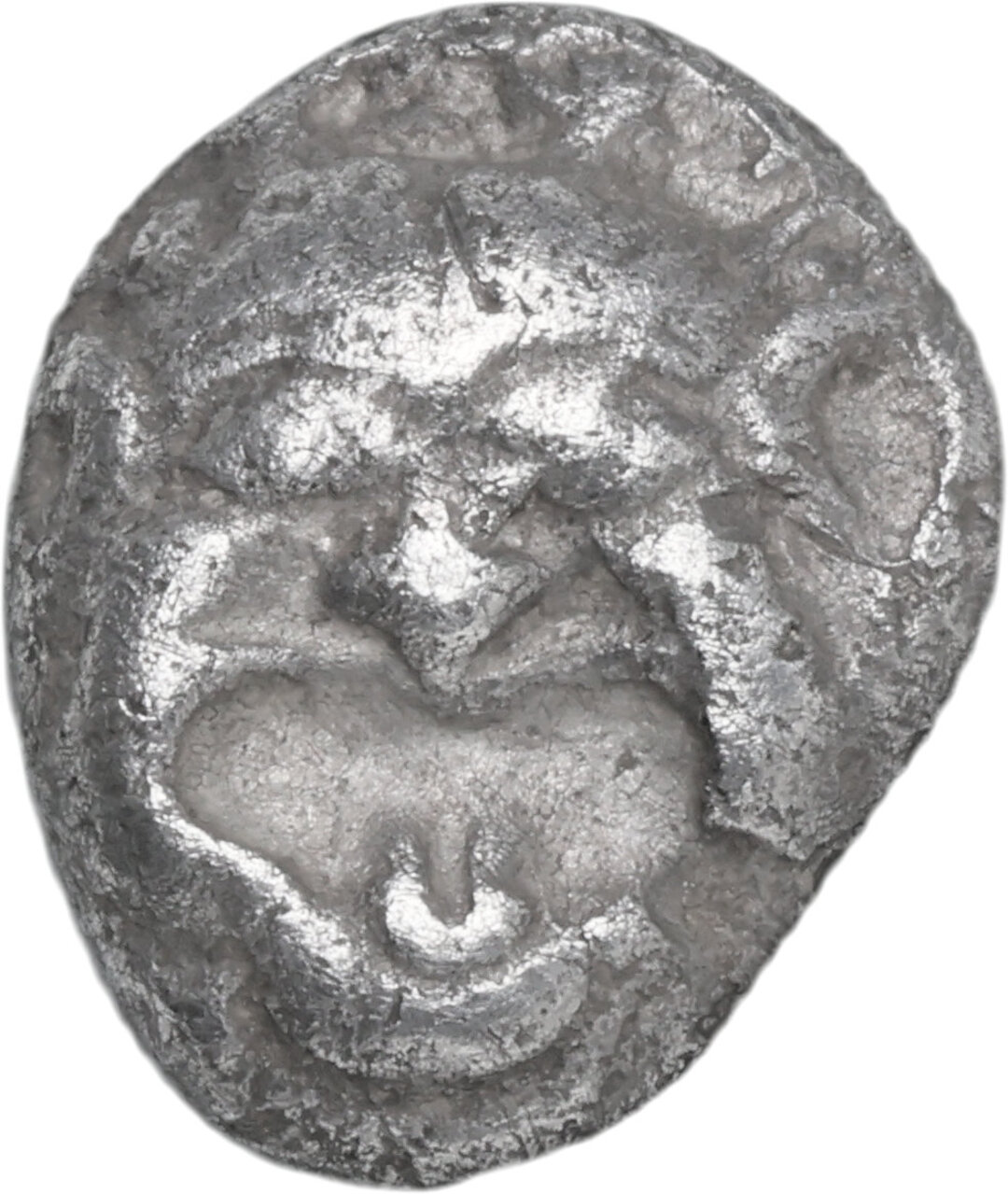 Dritto moneta
