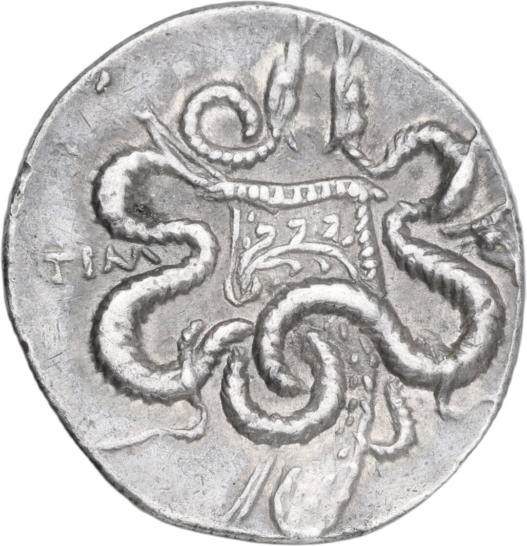 Dritto moneta