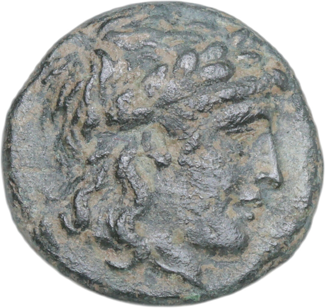 Dritto moneta
