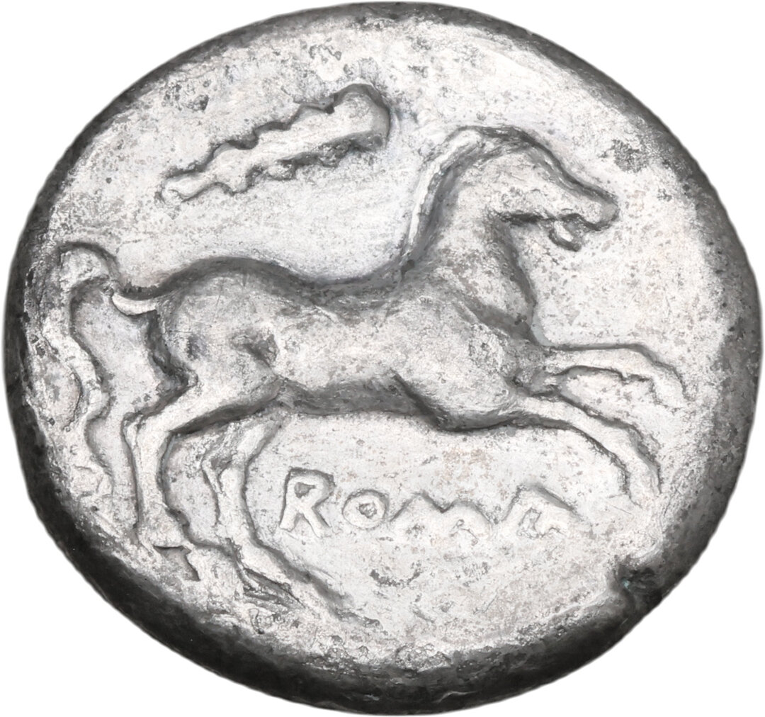 Rovescio moneta