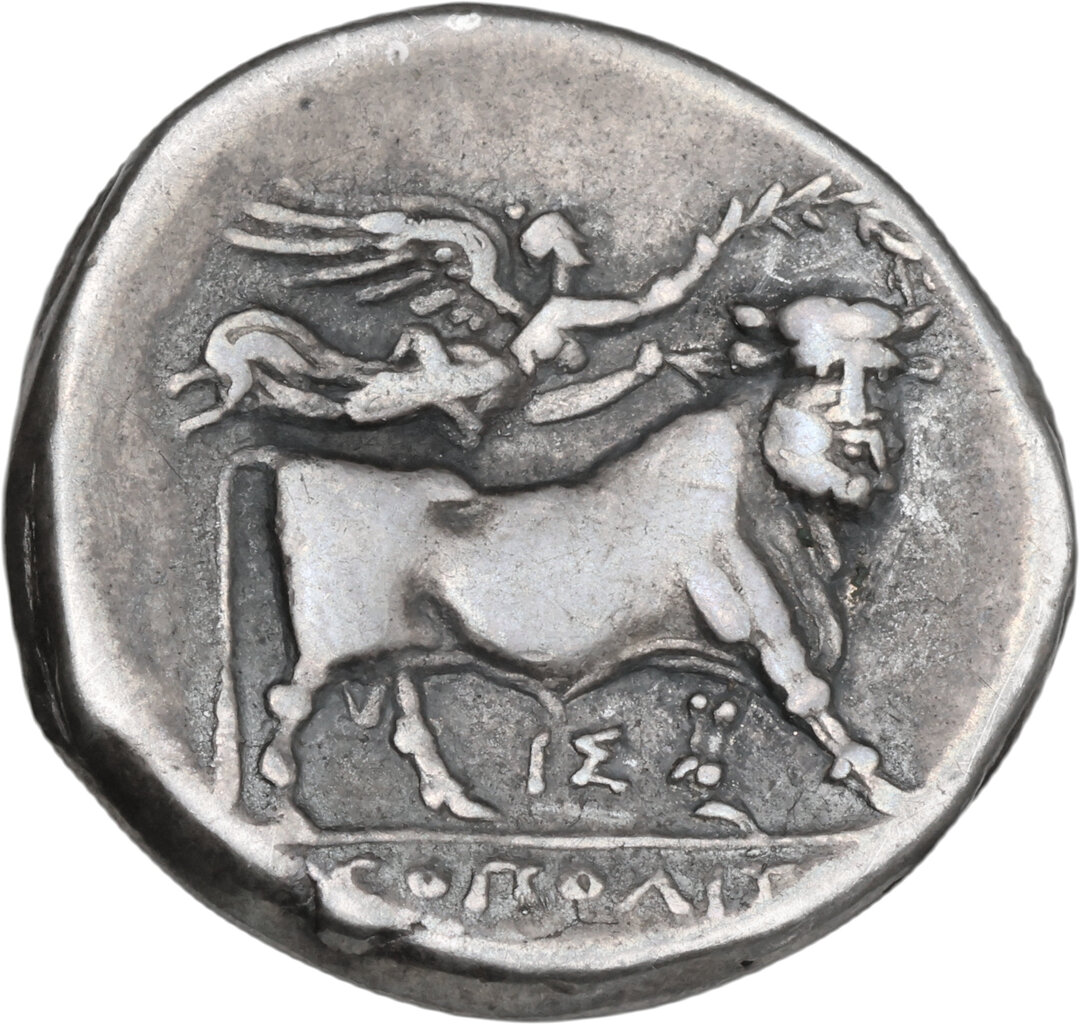 Rovescio moneta