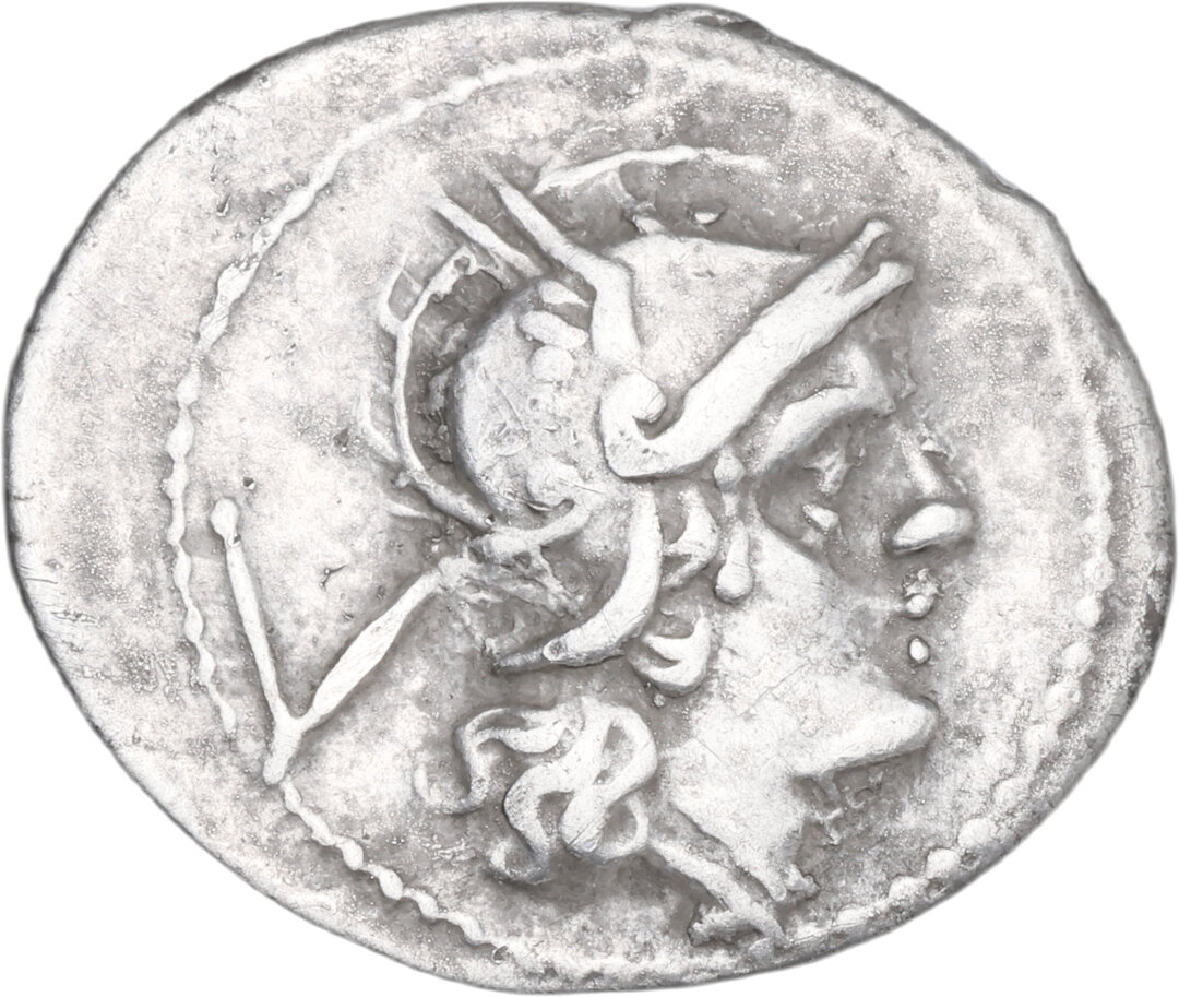Dritto moneta
