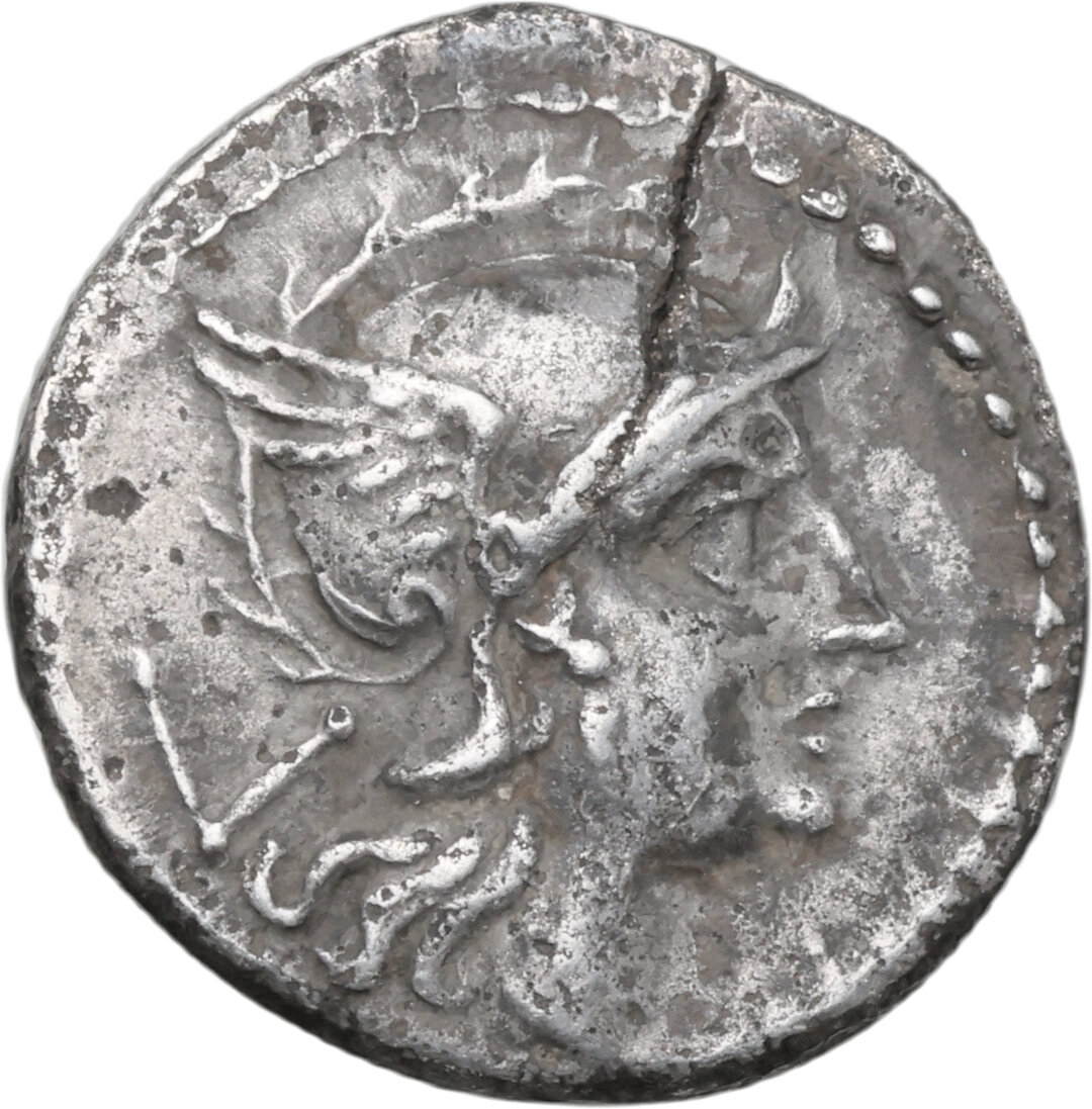 Dritto moneta