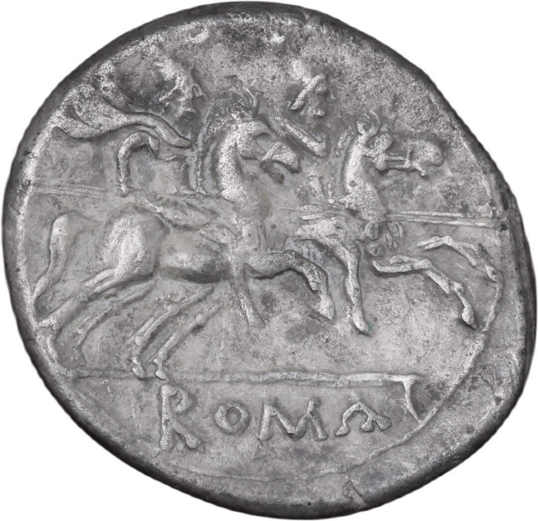 Rovescio moneta