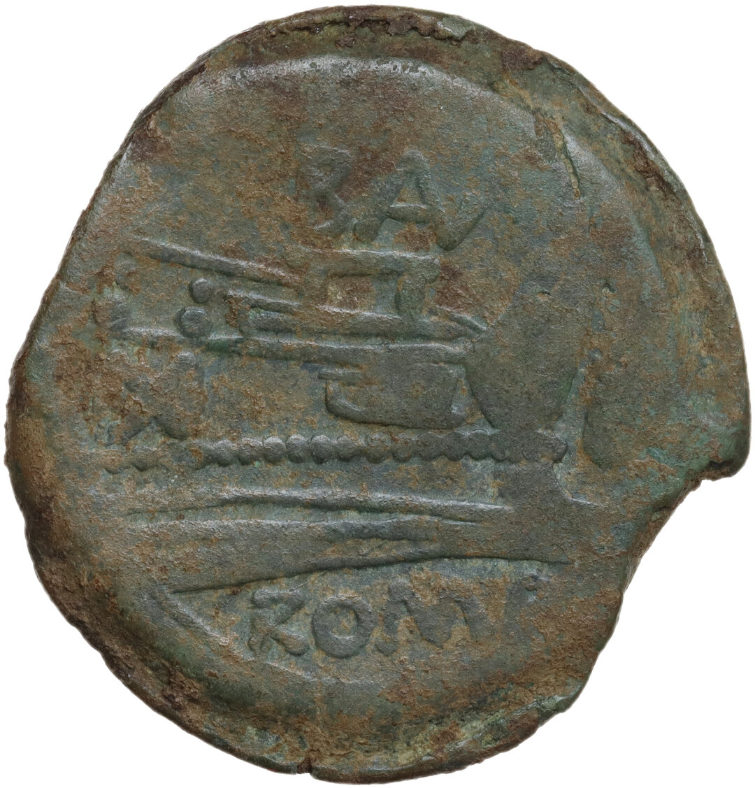 Rovescio moneta