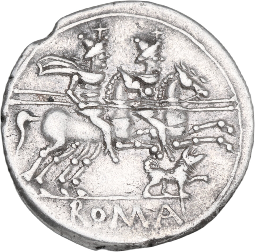 Rovescio moneta