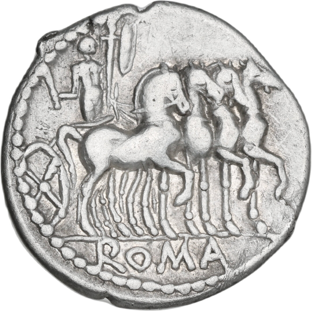 Rovescio moneta