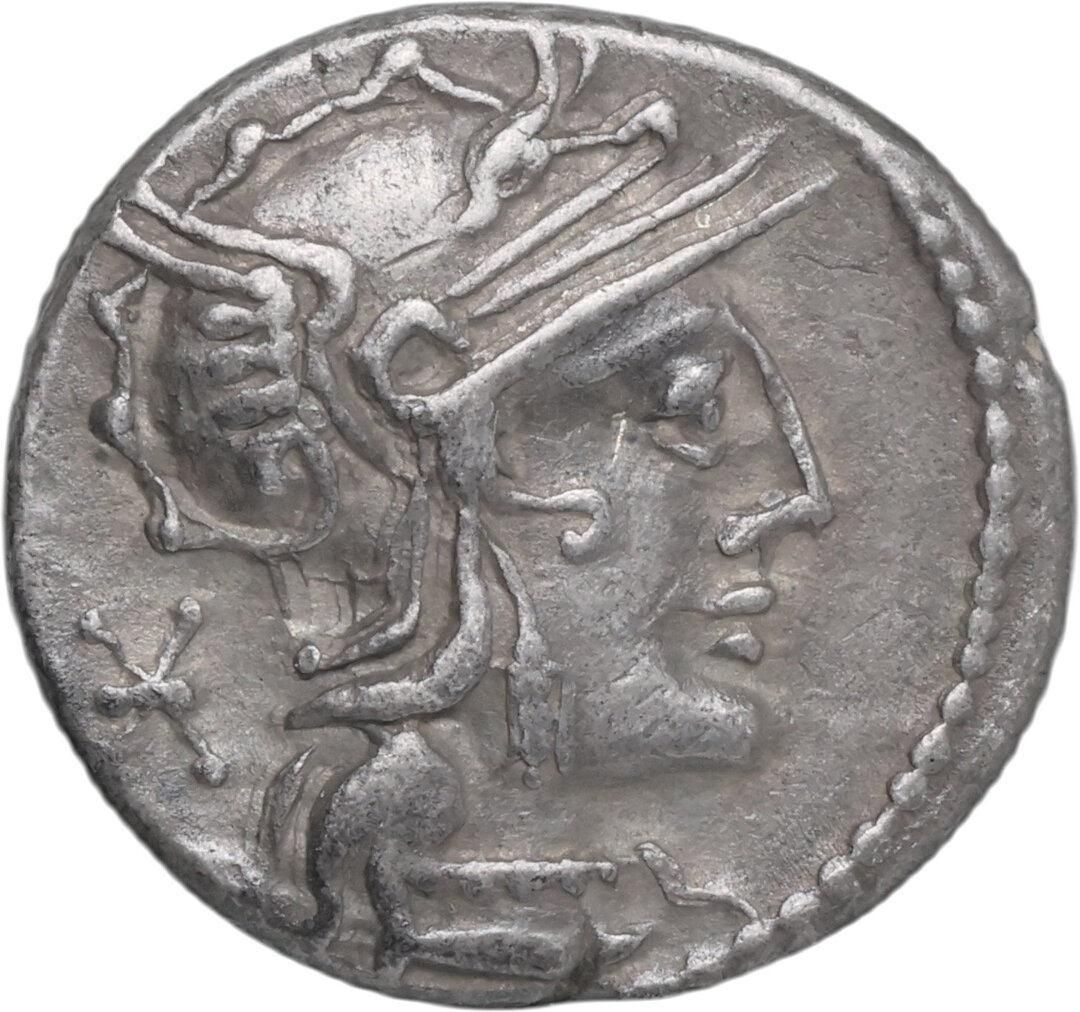 Dritto moneta