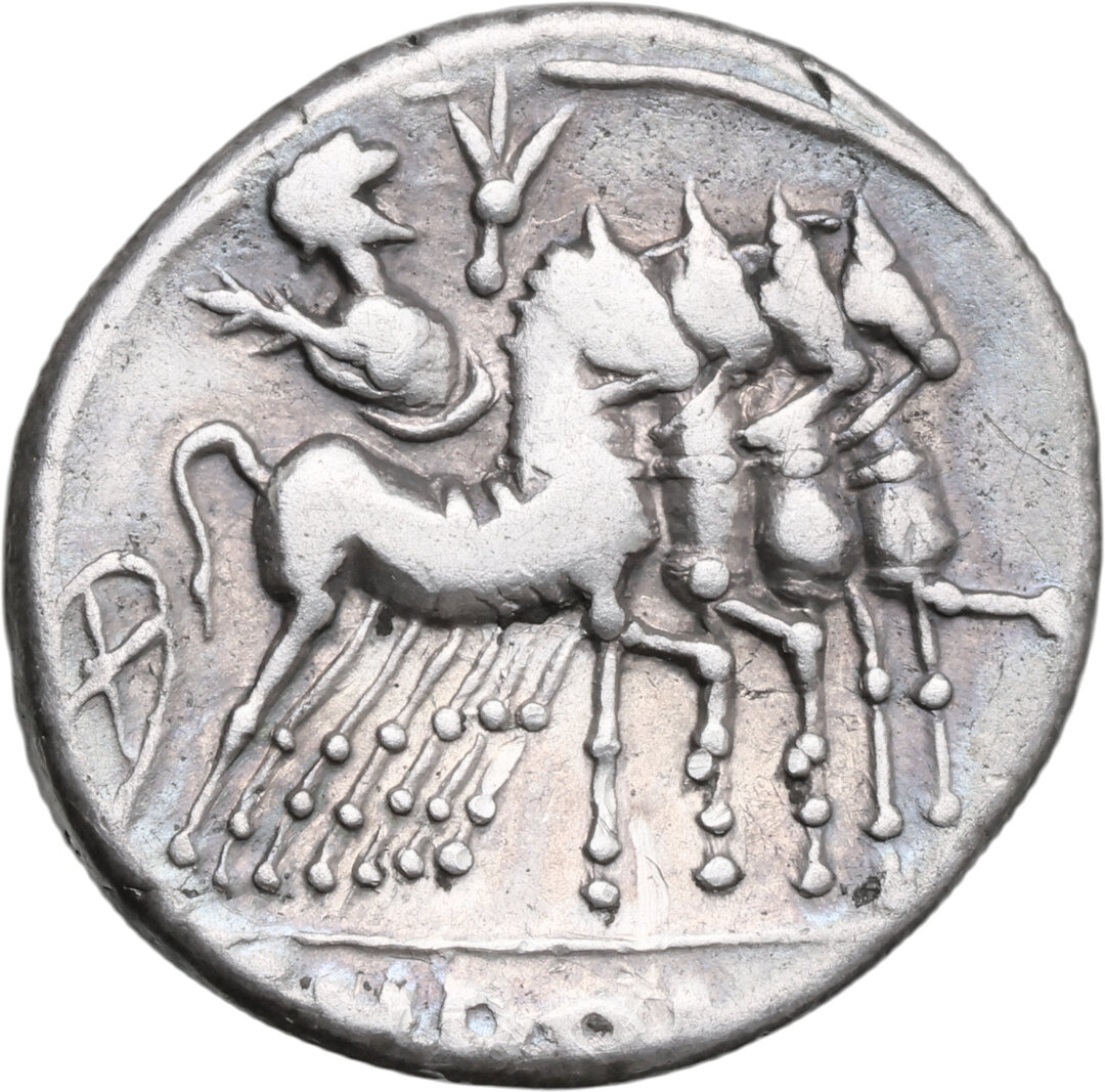 Rovescio moneta