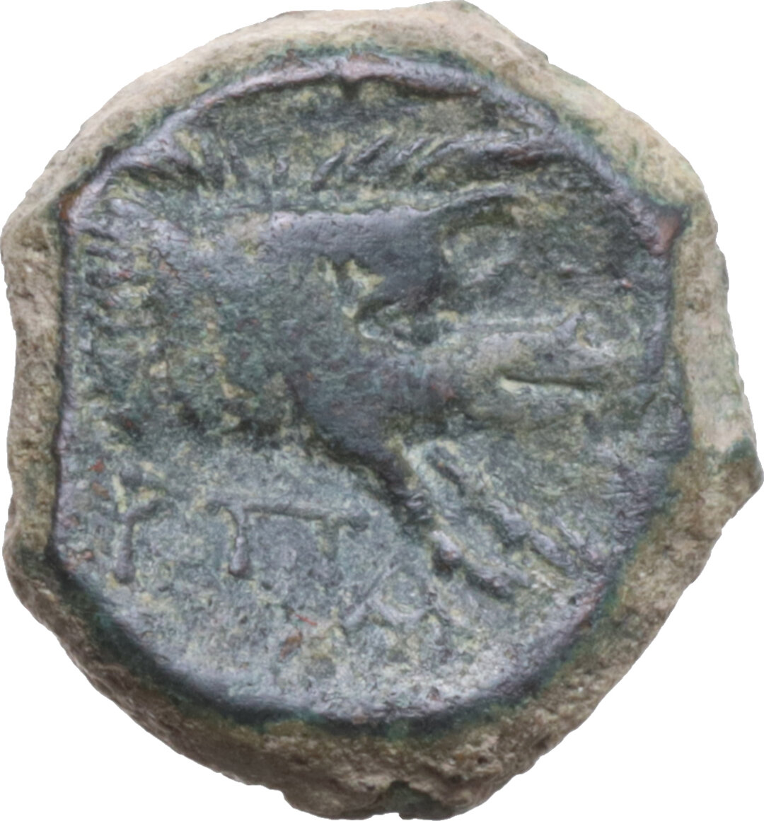 Rovescio moneta