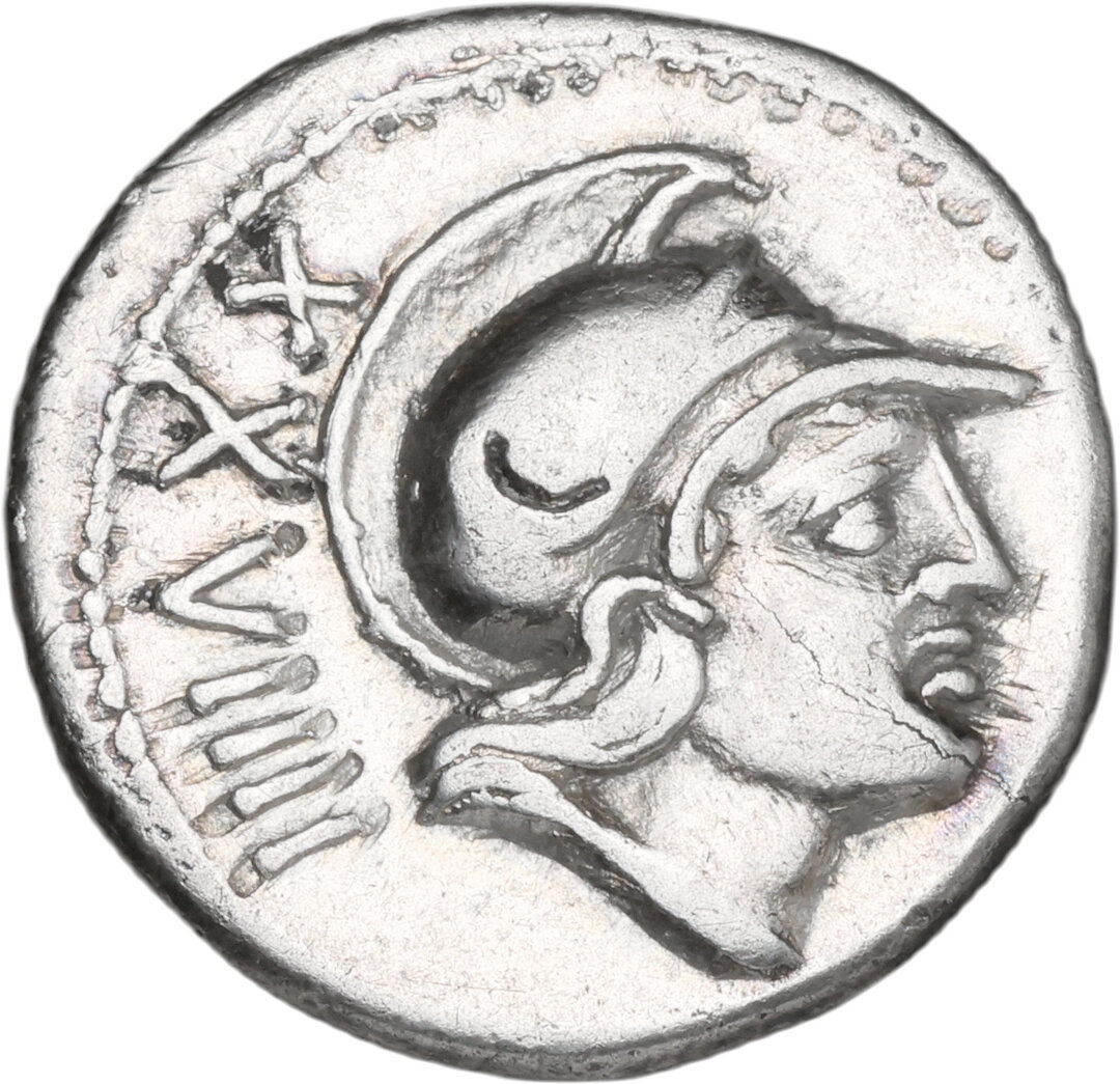 Dritto moneta
