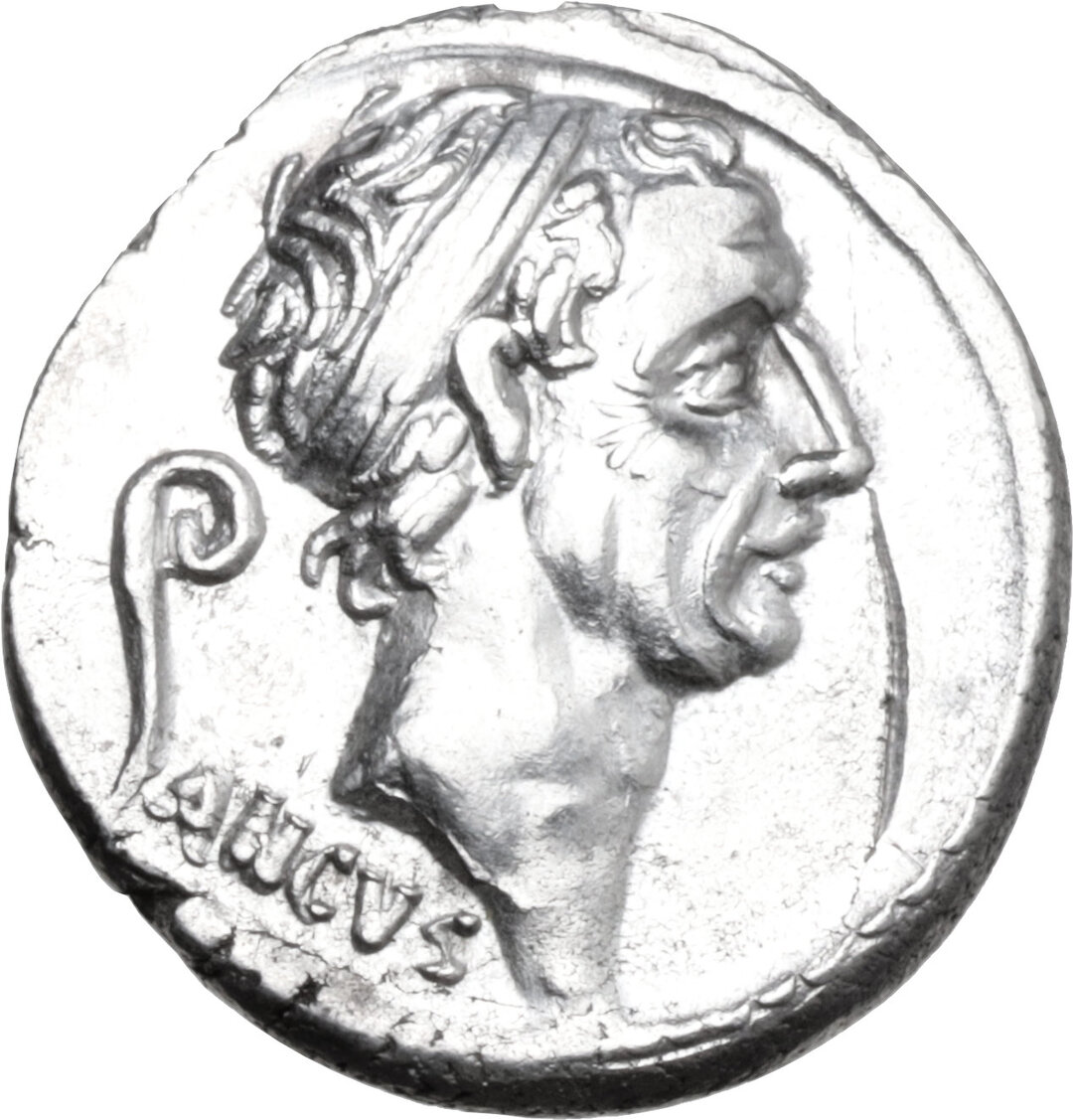 Dritto moneta