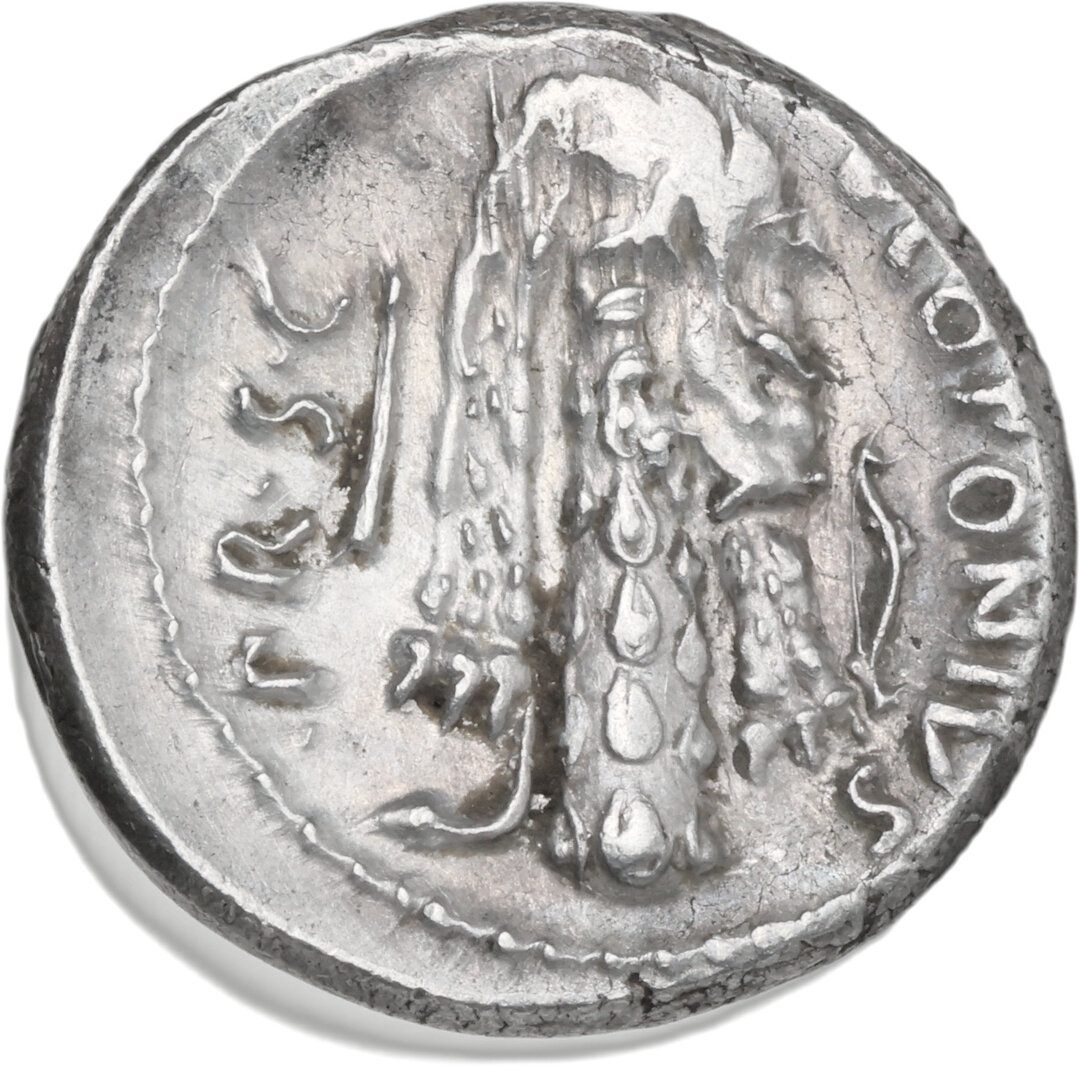 Rovescio moneta