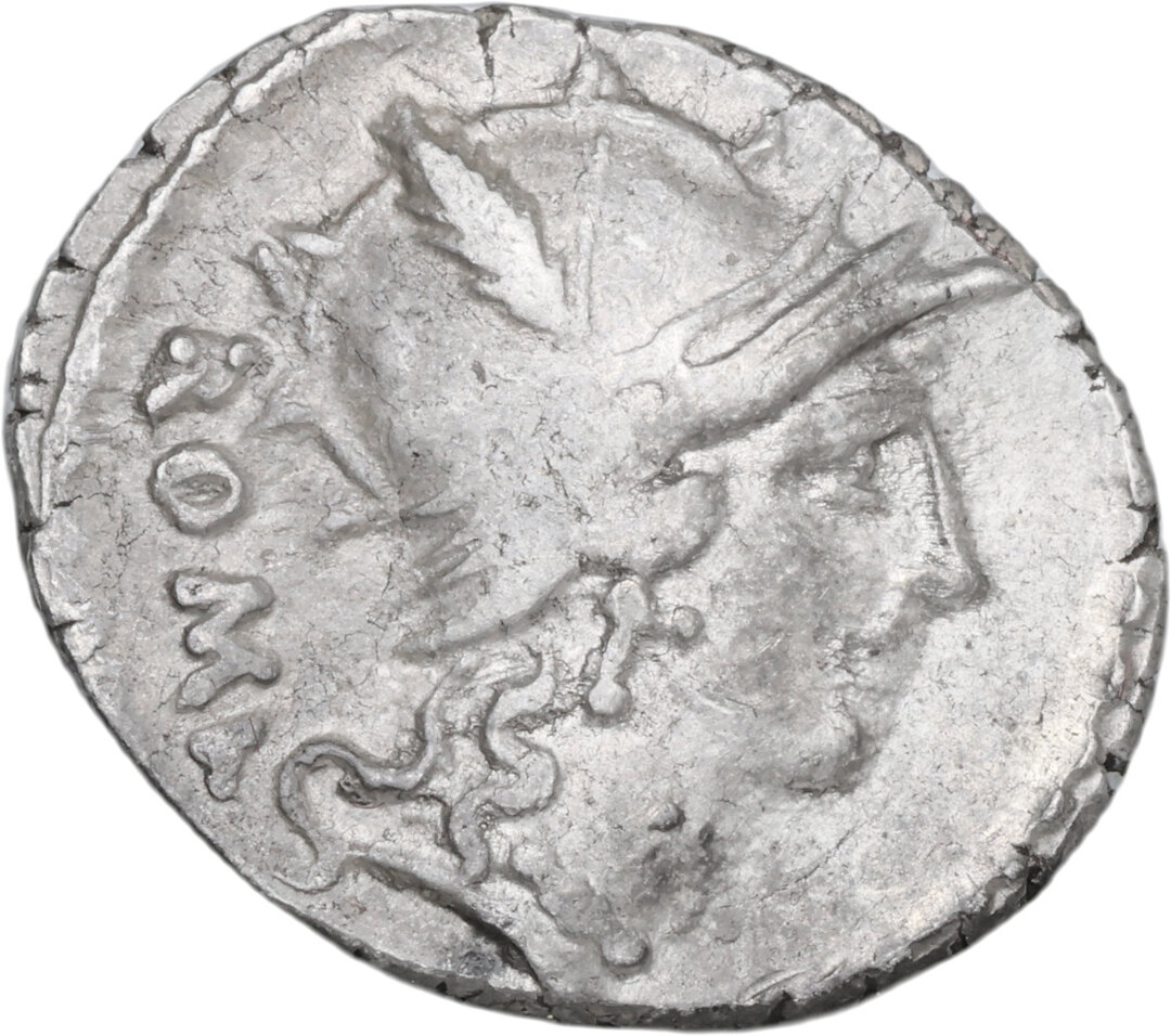 Dritto moneta