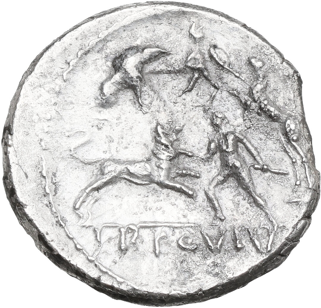 Rovescio moneta