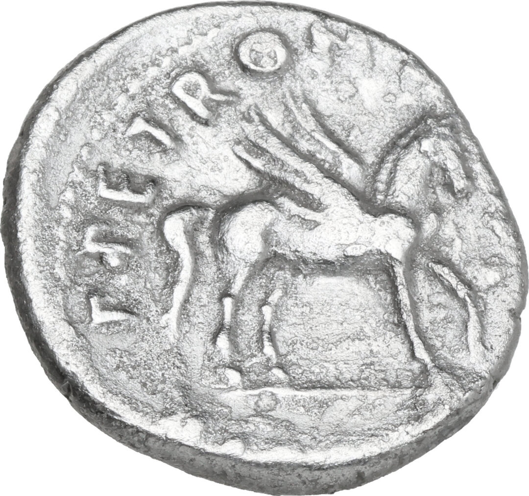Rovescio moneta