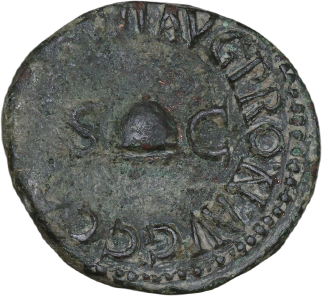 Dritto moneta