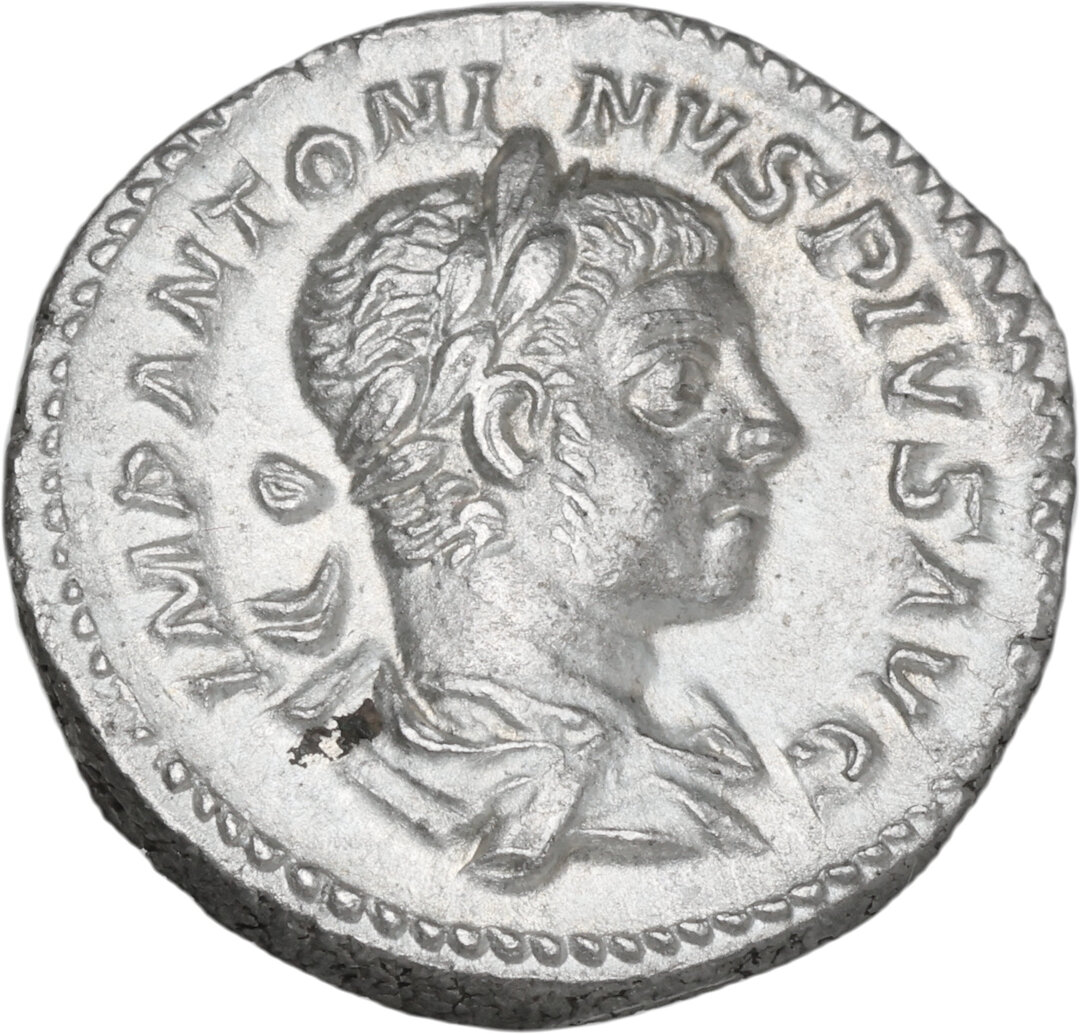 Dritto moneta