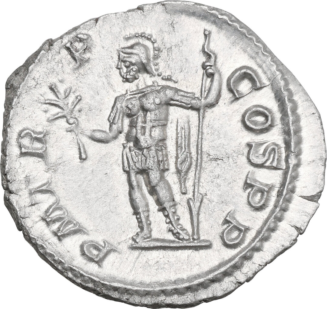 Rovescio moneta