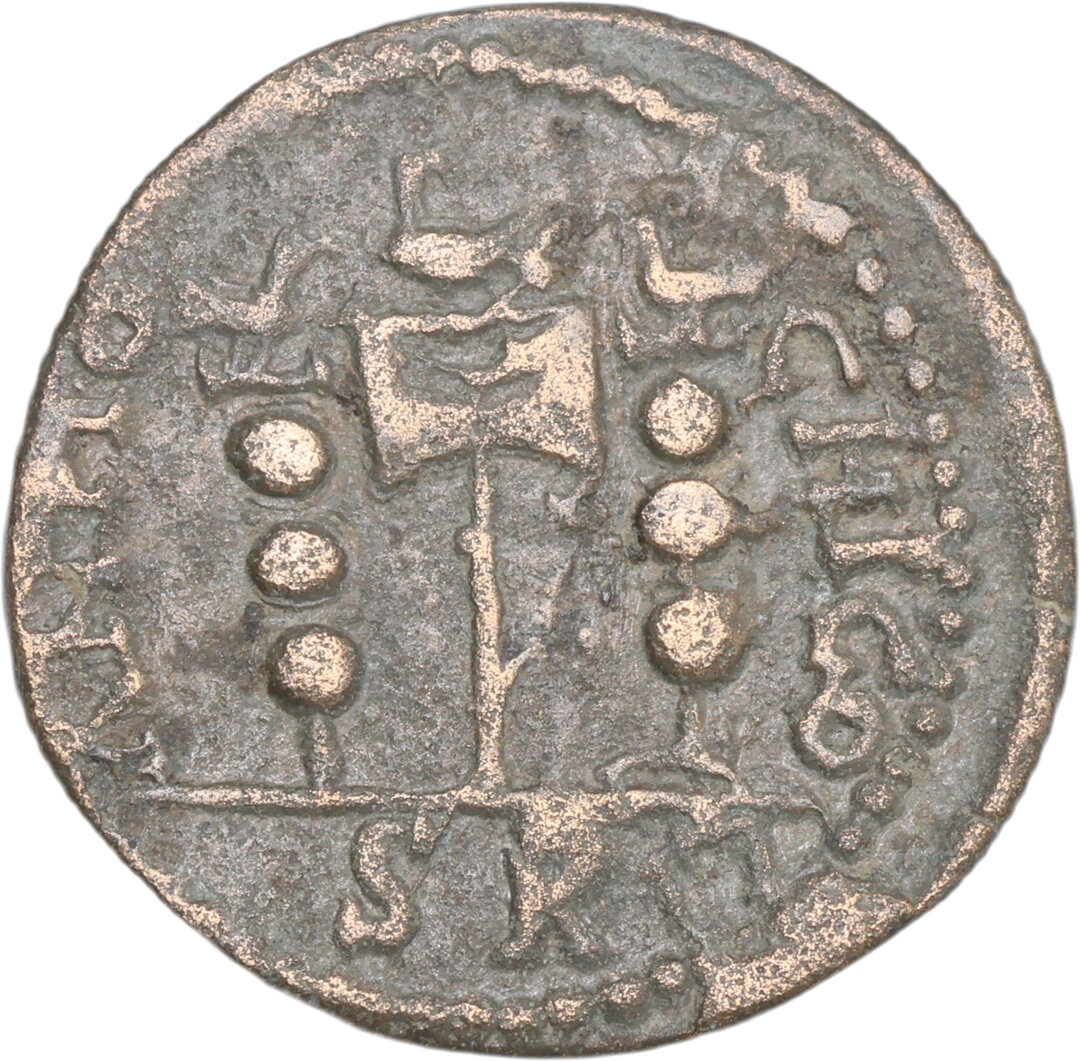 Rovescio moneta