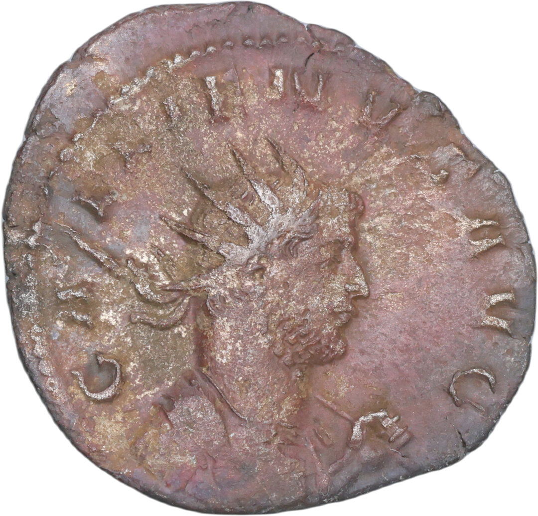 Dritto moneta