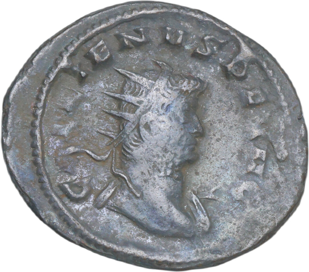 Dritto moneta