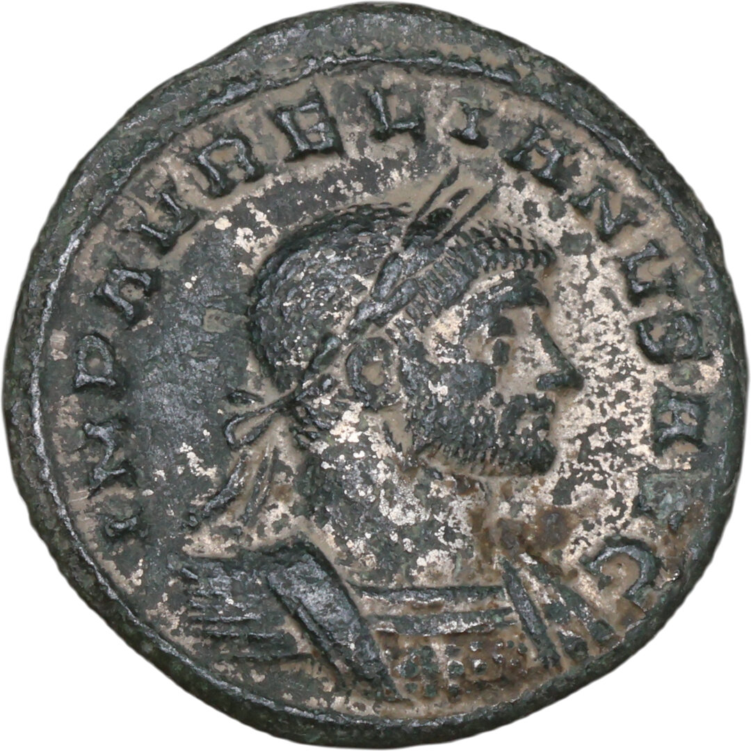 Dritto moneta
