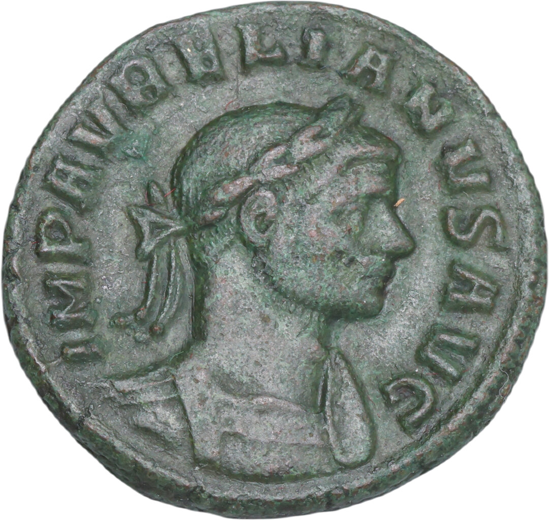 Dritto moneta