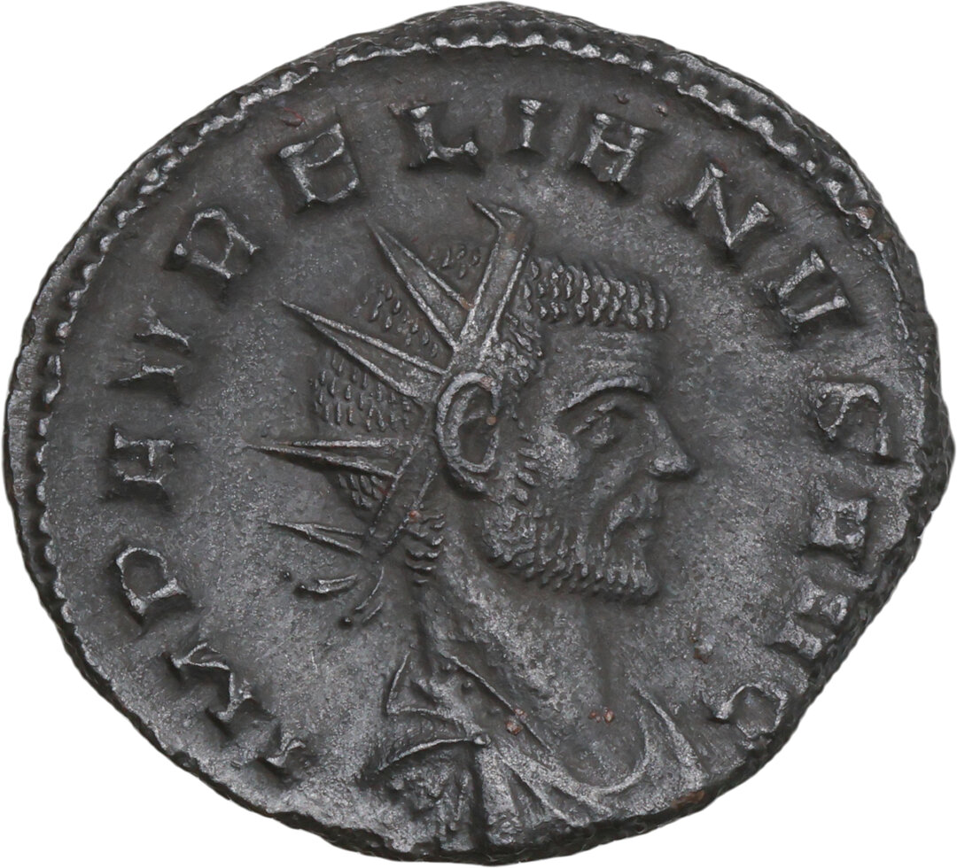 Dritto moneta