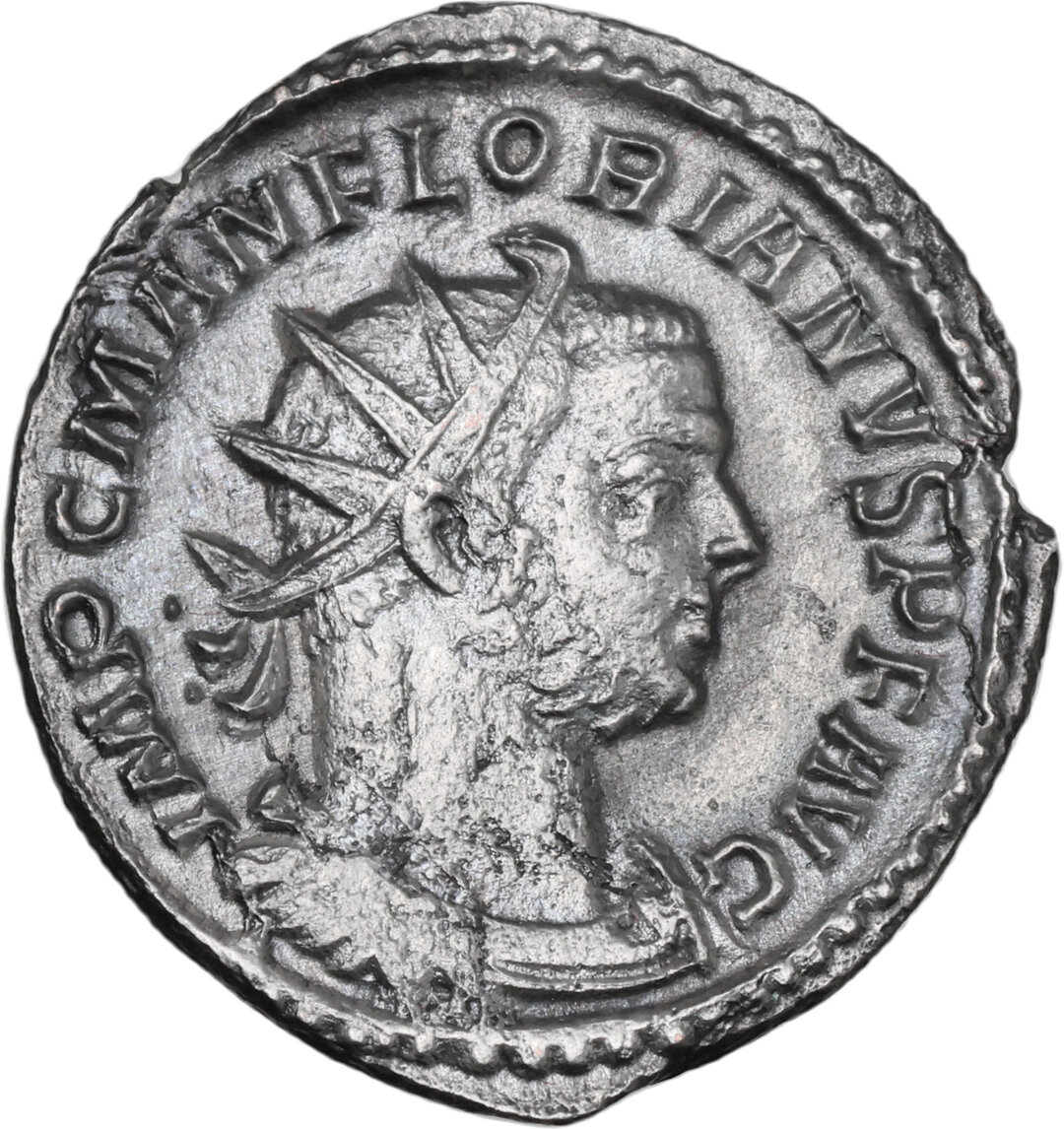 Dritto moneta
