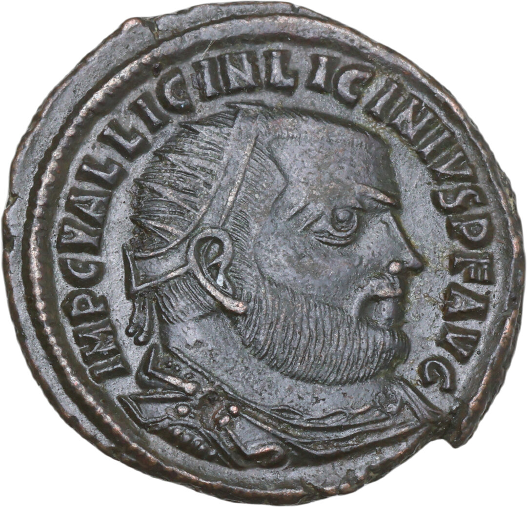 Dritto moneta