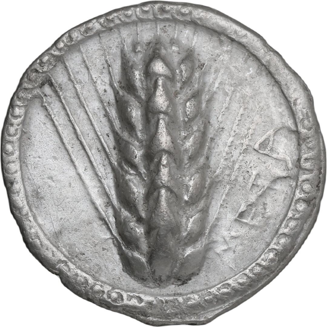 Dritto moneta