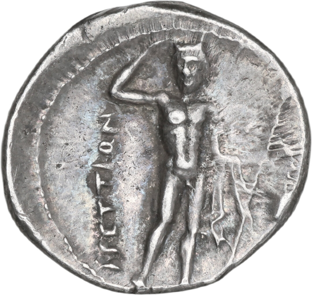 Rovescio moneta