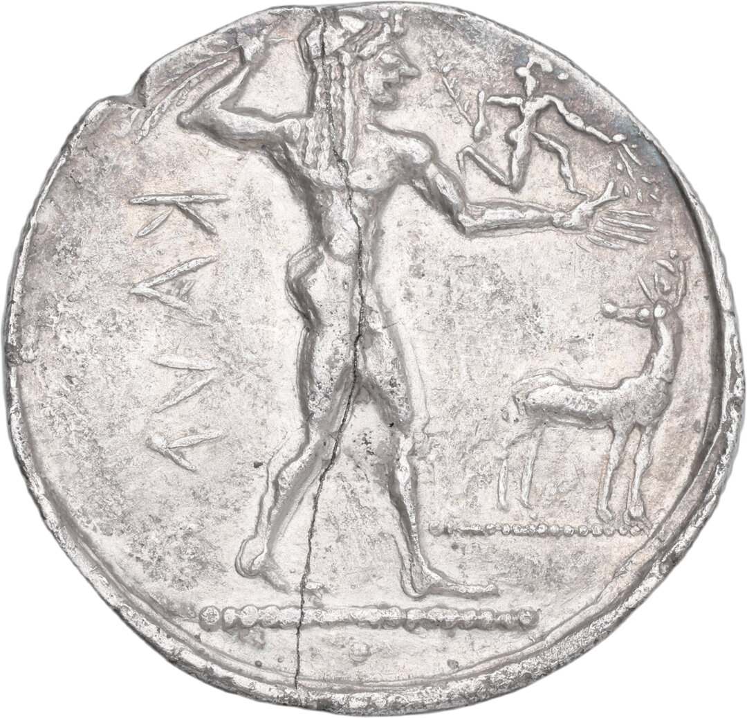 Dritto moneta