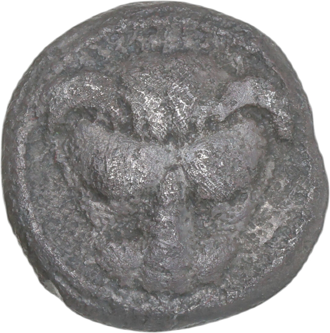 Dritto moneta