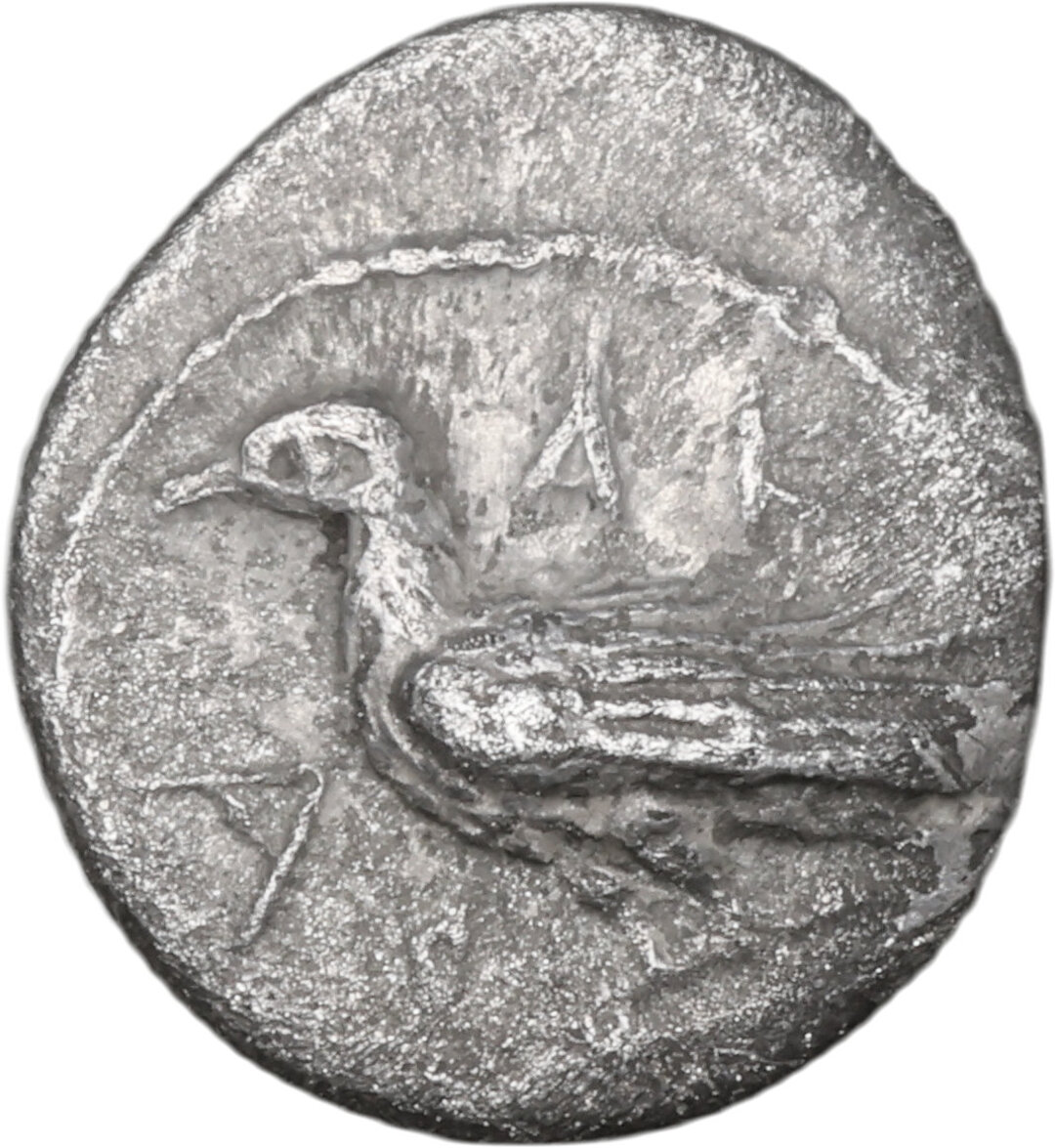 Dritto moneta