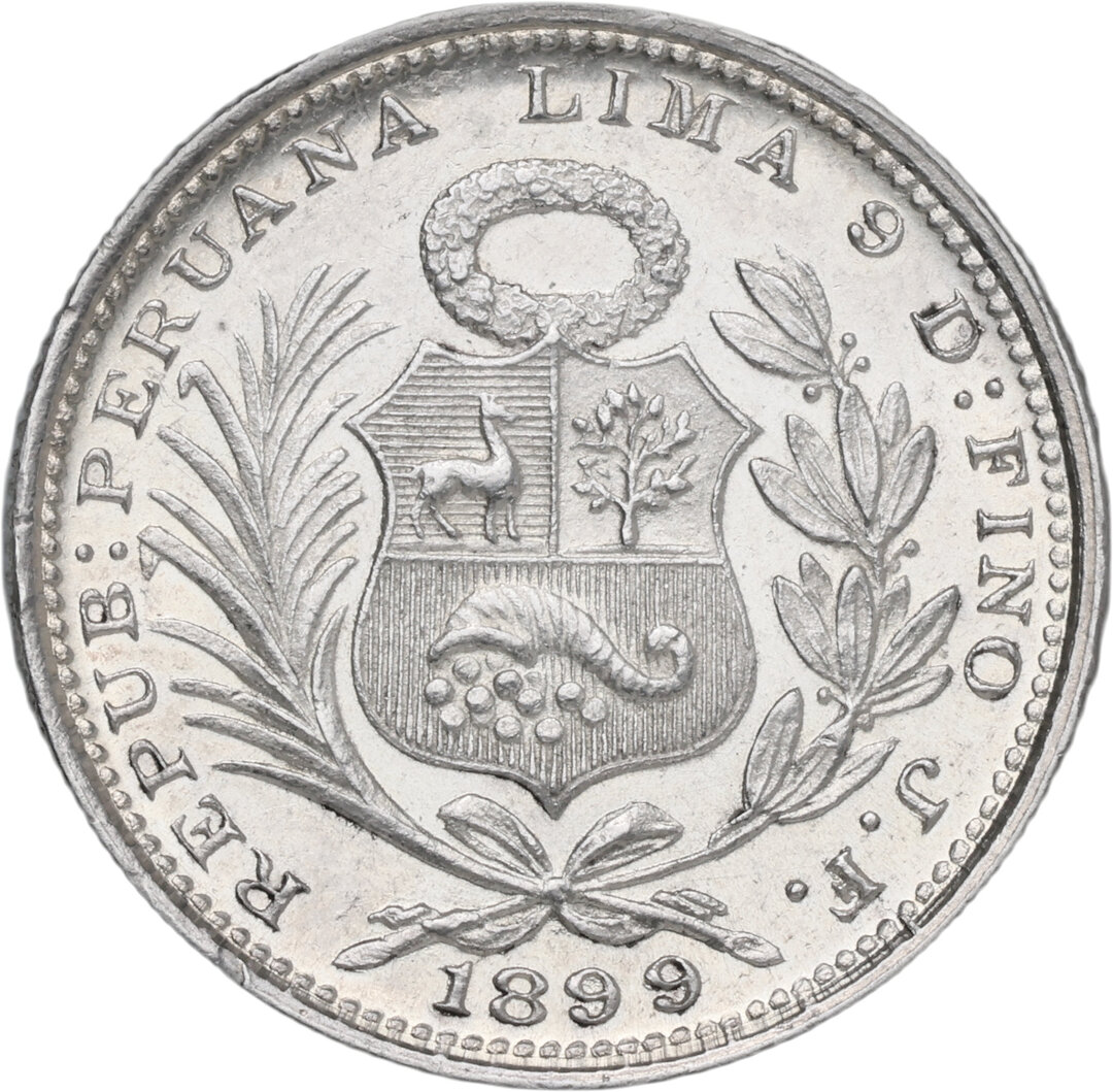 Dritto moneta