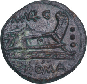 Reverse image