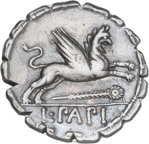 Reverse image