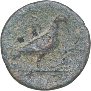 Reverse image