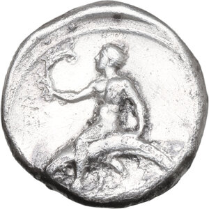Reverse image