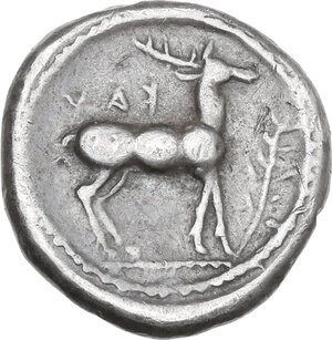 Reverse image